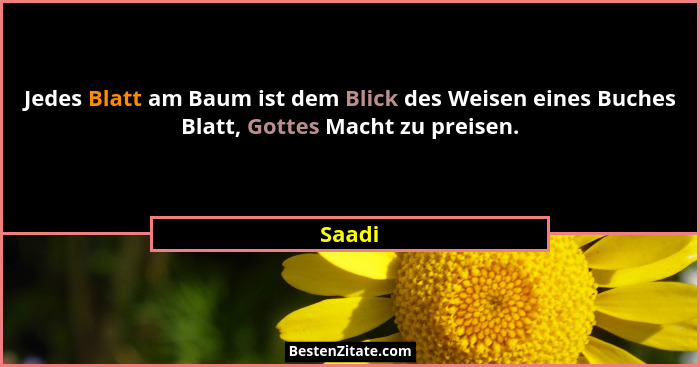 Jedes Blatt am Baum ist dem Blick des Weisen eines Buches Blatt, Gottes Macht zu preisen.... - Saadi