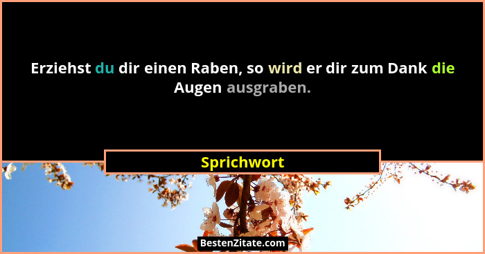 Erziehst du dir einen Raben, so wird er dir zum Dank die Augen ausgraben.... - Sprichwort