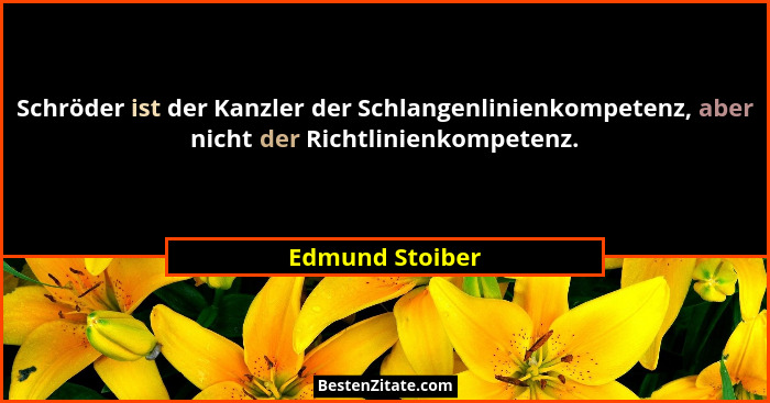 Schröder ist der Kanzler der Schlangenlinienkompetenz, aber nicht der Richtlinienkompetenz.... - Edmund Stoiber