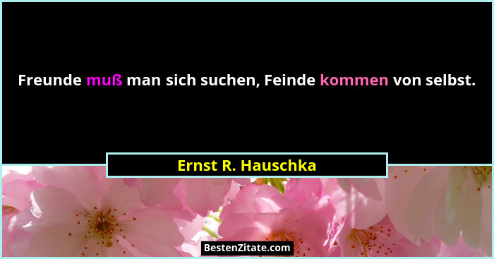 Freunde muß man sich suchen, Feinde kommen von selbst.... - Ernst R. Hauschka