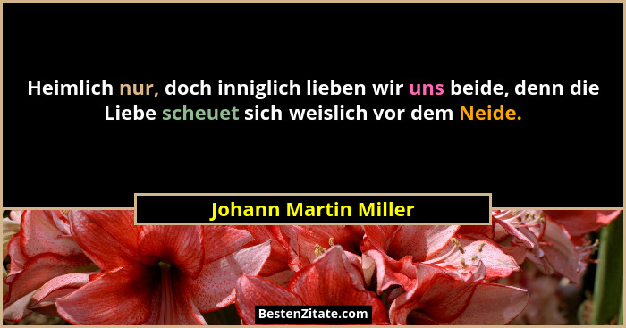 Heimlich nur, doch inniglich lieben wir uns beide, denn die Liebe scheuet sich weislich vor dem Neide.... - Johann Martin Miller