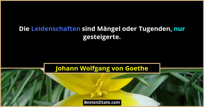 Die Leidenschaften sind Mängel oder Tugenden, nur gesteigerte.... - Johann Wolfgang von Goethe