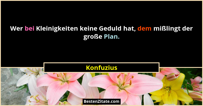 Wer bei Kleinigkeiten keine Geduld hat, dem mißlingt der große Plan.... - Konfuzius