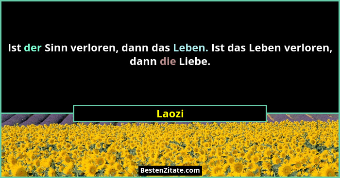 Ist der Sinn verloren, dann das Leben. Ist das Leben verloren, dann die Liebe.... - Laozi