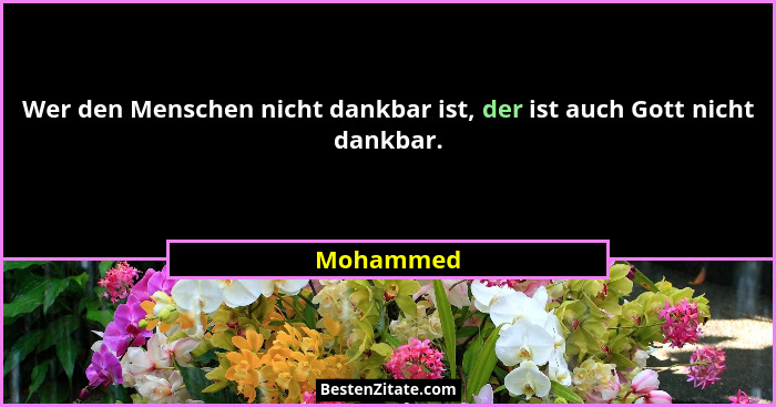 Wer den Menschen nicht dankbar ist, der ist auch Gott nicht dankbar.... - Mohammed