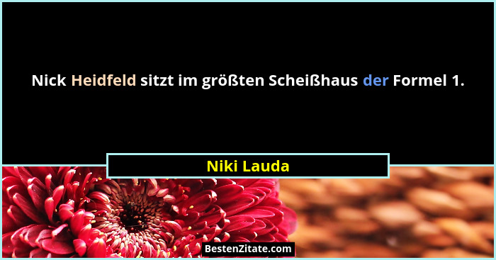 Nick Heidfeld sitzt im größten Scheißhaus der Formel 1.... - Niki Lauda