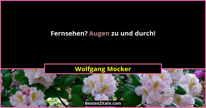 Fernsehen? Augen zu und durch!... - Wolfgang Mocker