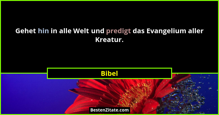 Gehet hin in alle Welt und predigt das Evangelium aller Kreatur.... - Bibel