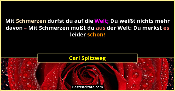 Mit Schmerzen durfst du auf die Welt; Du weißt nichts mehr davon – Mit Schmerzen mußt du aus der Welt: Du merkst es leider schon!... - Carl Spitzweg