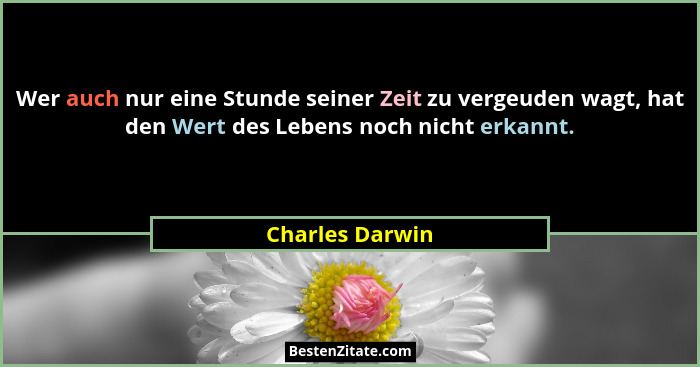 Wer auch nur eine Stunde seiner Zeit zu vergeuden wagt, hat den Wert des Lebens noch nicht erkannt.... - Charles Darwin