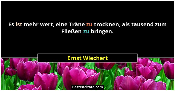 Es ist mehr wert, eine Träne zu trocknen, als tausend zum Fließen zu bringen.... - Ernst Wiechert