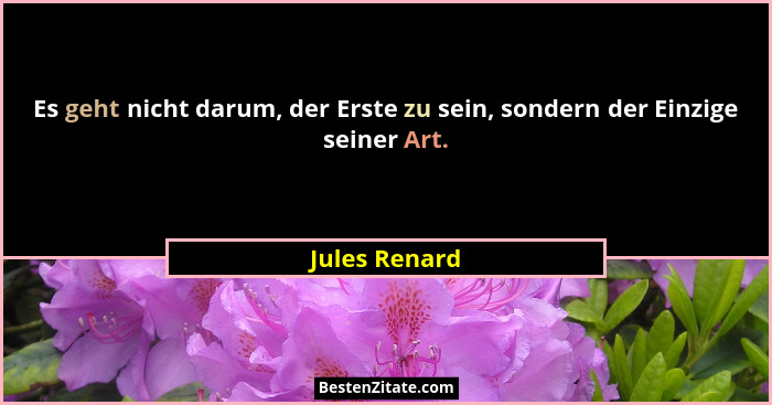 Es geht nicht darum, der Erste zu sein, sondern der Einzige seiner Art.... - Jules Renard