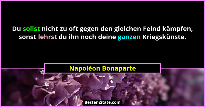 Du sollst nicht zu oft gegen den gleichen Feind kämpfen, sonst lehrst du ihn noch deine ganzen Kriegskünste.... - Napoléon Bonaparte