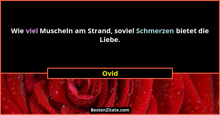 Wie viel Muscheln am Strand, soviel Schmerzen bietet die Liebe.... - Ovid