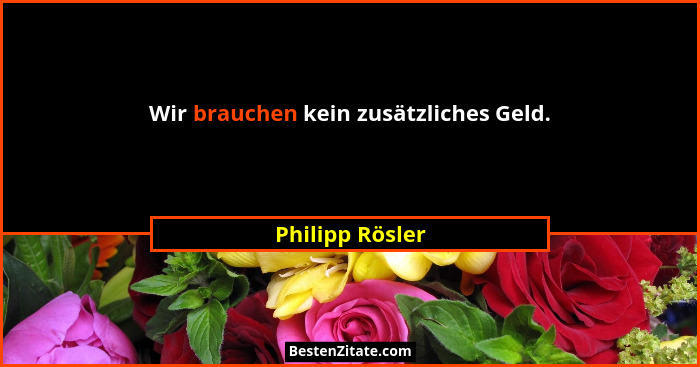 Wir brauchen kein zusätzliches Geld.... - Philipp Rösler