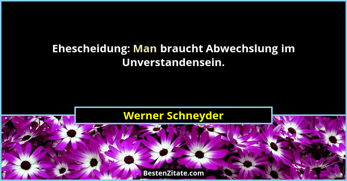 Ehescheidung: Man braucht Abwechslung im Unverstandensein.... - Werner Schneyder