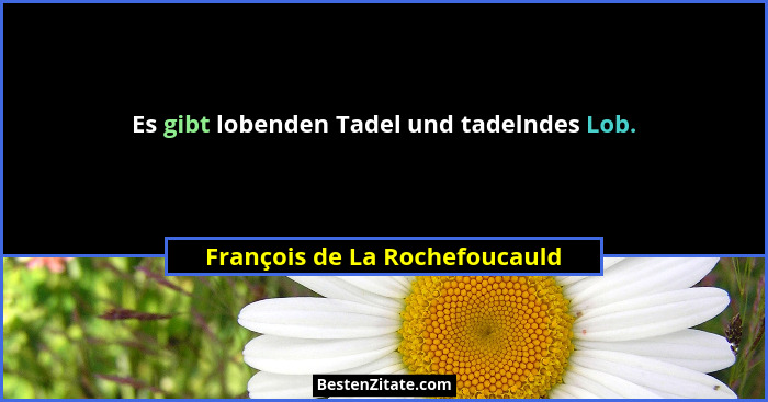 Es gibt lobenden Tadel und tadelndes Lob.... - François de La Rochefoucauld