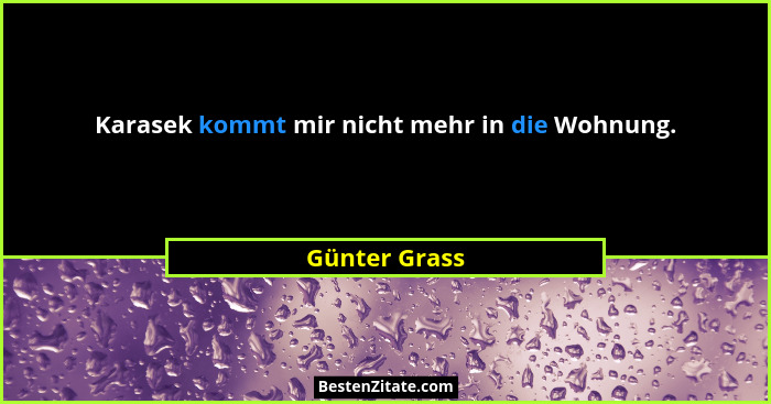 Karasek kommt mir nicht mehr in die Wohnung.... - Günter Grass