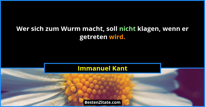 Wer sich zum Wurm macht, soll nicht klagen, wenn er getreten wird.... - Immanuel Kant