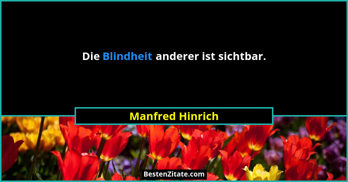 Die Blindheit anderer ist sichtbar.... - Manfred Hinrich