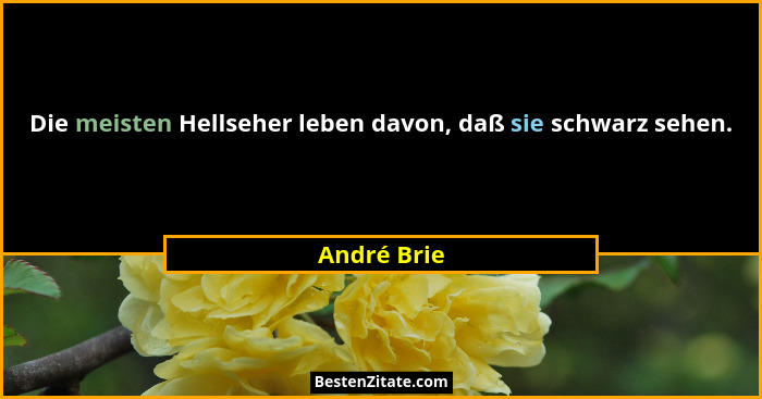 Die meisten Hellseher leben davon, daß sie schwarz sehen.... - André Brie
