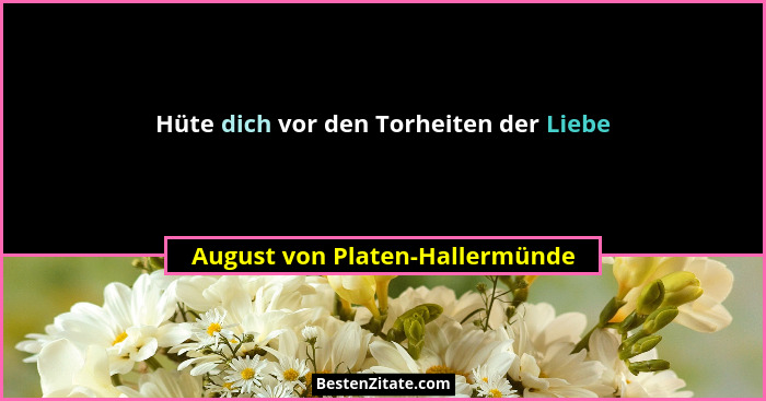 Hüte dich vor den Torheiten der Liebe... - August von Platen-Hallermünde