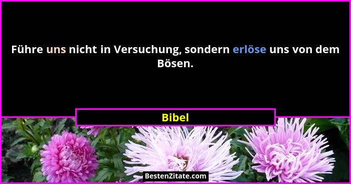 Führe uns nicht in Versuchung, sondern erlöse uns von dem Bösen.... - Bibel