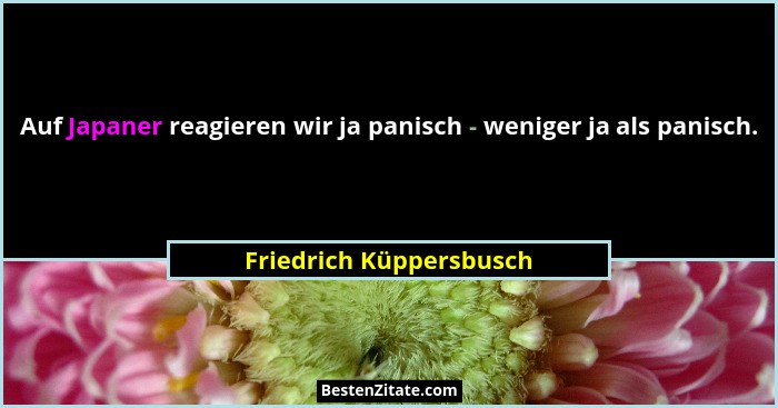 Auf Japaner reagieren wir ja panisch - weniger ja als panisch.... - Friedrich Küppersbusch