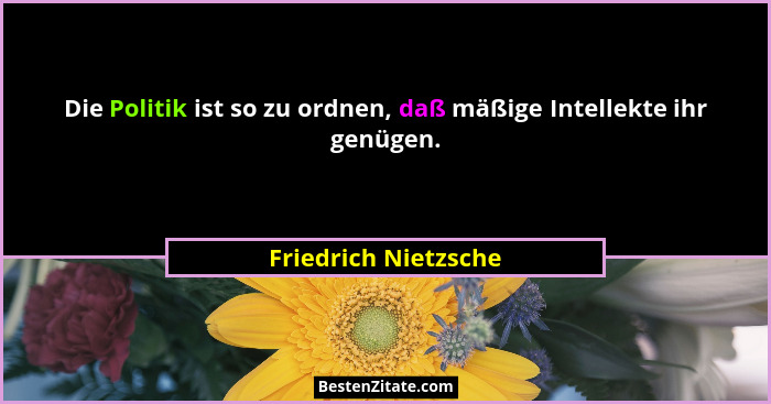 Die Politik ist so zu ordnen, daß mäßige Intellekte ihr genügen.... - Friedrich Nietzsche