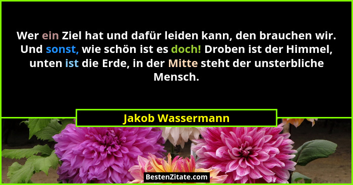 Wer ein Ziel hat und dafür leiden kann, den brauchen wir. Und sonst, wie schön ist es doch! Droben ist der Himmel, unten ist die Er... - Jakob Wassermann