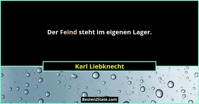 Der Feind steht im eigenen Lager.... - Karl Liebknecht