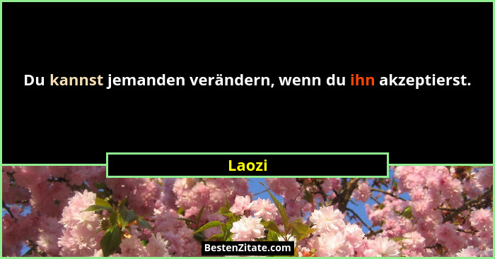 Du kannst jemanden verändern, wenn du ihn akzeptierst.... - Laozi