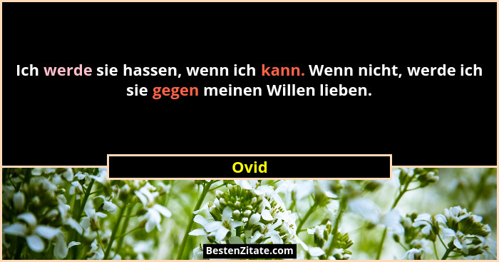Ich werde sie hassen, wenn ich kann. Wenn nicht, werde ich sie gegen meinen Willen lieben.... - Ovid