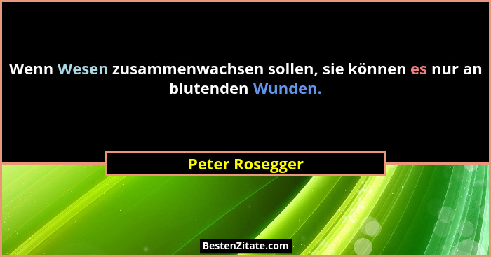 Wenn Wesen zusammenwachsen sollen, sie können es nur an blutenden Wunden.... - Peter Rosegger