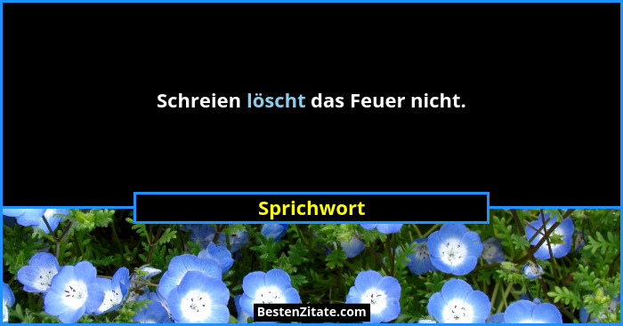 Schreien löscht das Feuer nicht.... - Sprichwort