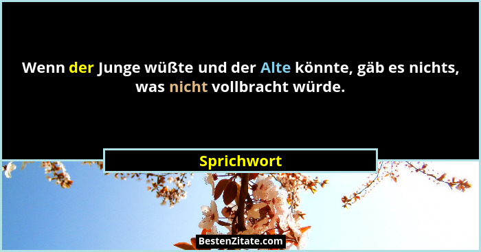Wenn der Junge wüßte und der Alte könnte, gäb es nichts, was nicht vollbracht würde.... - Sprichwort