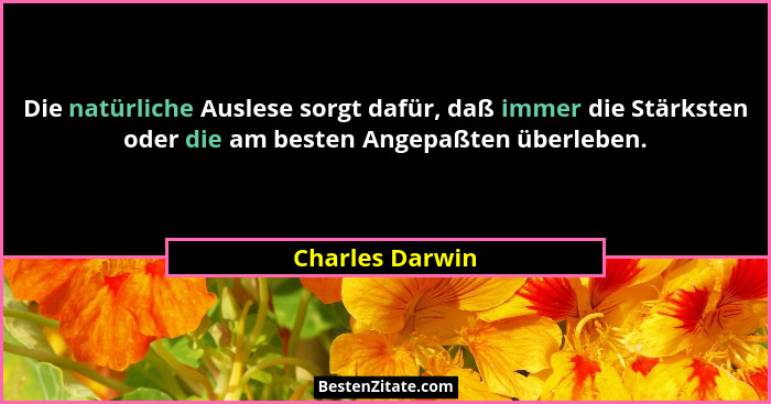 Die natürliche Auslese sorgt dafür, daß immer die Stärksten oder die am besten Angepaßten überleben.... - Charles Darwin