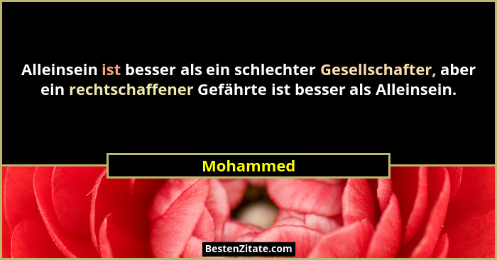 Alleinsein ist besser als ein schlechter Gesellschafter, aber ein rechtschaffener Gefährte ist besser als Alleinsein.... - Mohammed