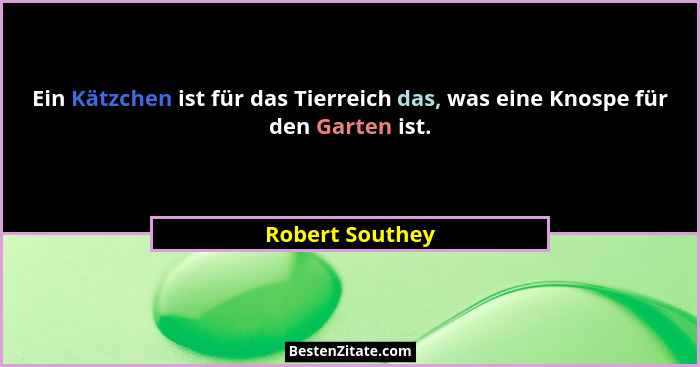 Ein Kätzchen ist für das Tierreich das, was eine Knospe für den Garten ist.... - Robert Southey