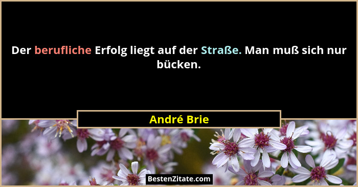Der berufliche Erfolg liegt auf der Straße. Man muß sich nur bücken.... - André Brie
