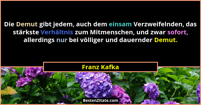 Die Demut gibt jedem, auch dem einsam Verzweifelnden, das stärkste Verhältnis zum Mitmenschen, und zwar sofort, allerdings nur bei völli... - Franz Kafka