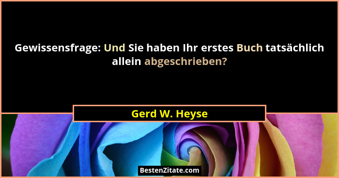 Gewissensfrage: Und Sie haben Ihr erstes Buch tatsächlich allein abgeschrieben?... - Gerd W. Heyse