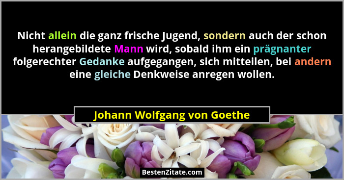 Nicht allein die ganz frische Jugend, sondern auch der schon herangebildete Mann wird, sobald ihm ein prägnanter folgerec... - Johann Wolfgang von Goethe