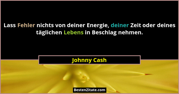 Lass Fehler nichts von deiner Energie, deiner Zeit oder deines täglichen Lebens in Beschlag nehmen.... - Johnny Cash