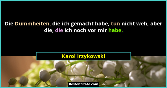 Die Dummheiten, die ich gemacht habe, tun nicht weh, aber die, die ich noch vor mir habe.... - Karol Irzykowski