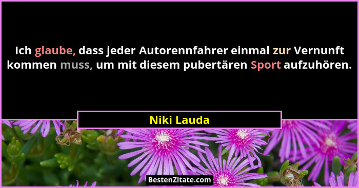 Ich glaube, dass jeder Autorennfahrer einmal zur Vernunft kommen muss, um mit diesem pubertären Sport aufzuhören.... - Niki Lauda