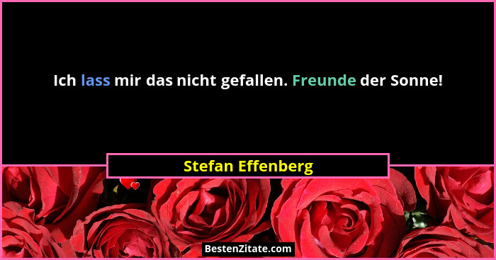 Ich lass mir das nicht gefallen. Freunde der Sonne!... - Stefan Effenberg