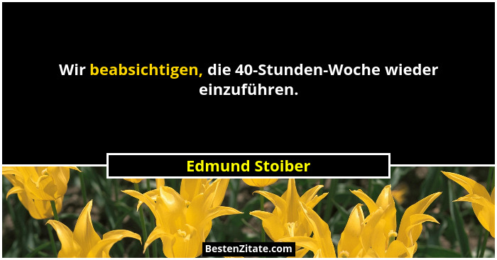 Wir beabsichtigen, die 40-Stunden-Woche wieder einzuführen.... - Edmund Stoiber
