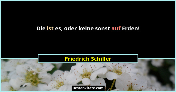 Die ist es, oder keine sonst auf Erden!... - Friedrich Schiller