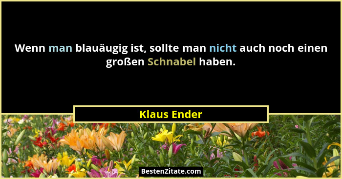 Wenn man blauäugig ist, sollte man nicht auch noch einen großen Schnabel haben.... - Klaus Ender